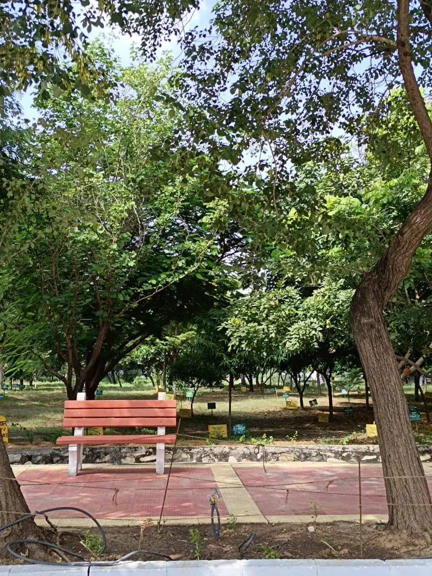 Manipal University Jaipur Campus photo 1